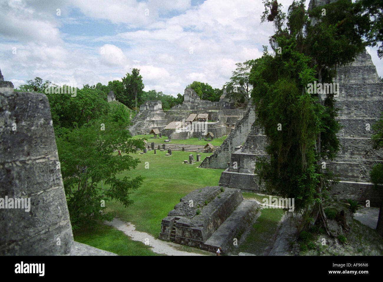 TIKAL GUATEMALA Zentral Amerika August schaut auf Palast Typ Gebäudekomplex in den Ruinen der Maya-Stadt Stockfoto