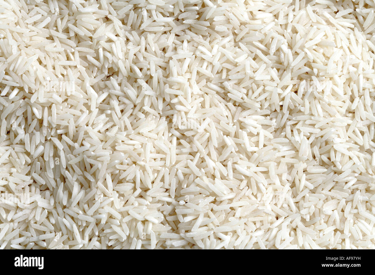 Basmati-Reis, close-up Stockfoto