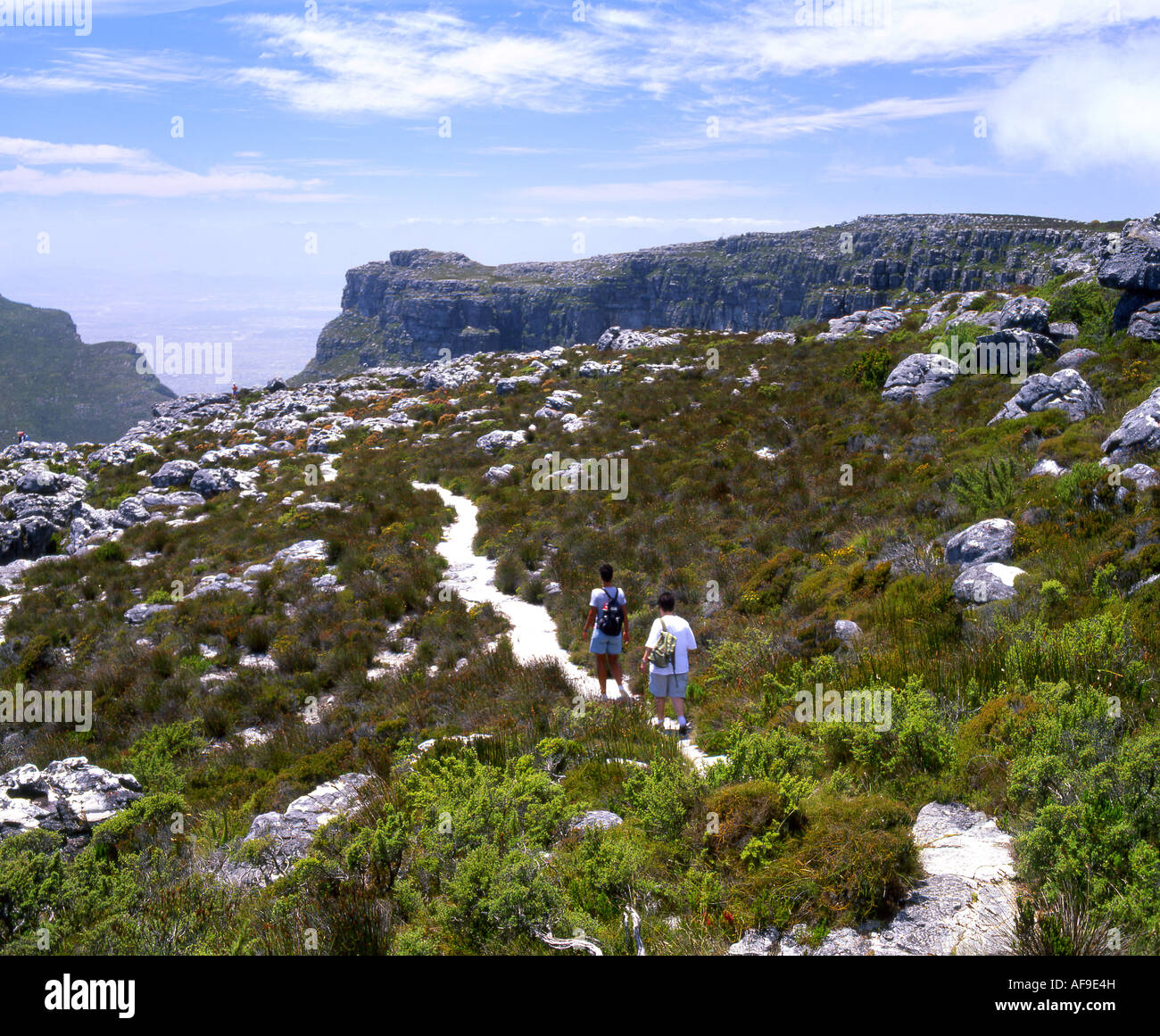 Wanderer zu Fuß entlang der Table Mountain Wandern Trail Cape Town, Western Cape Provinz; Südafrika Stockfoto