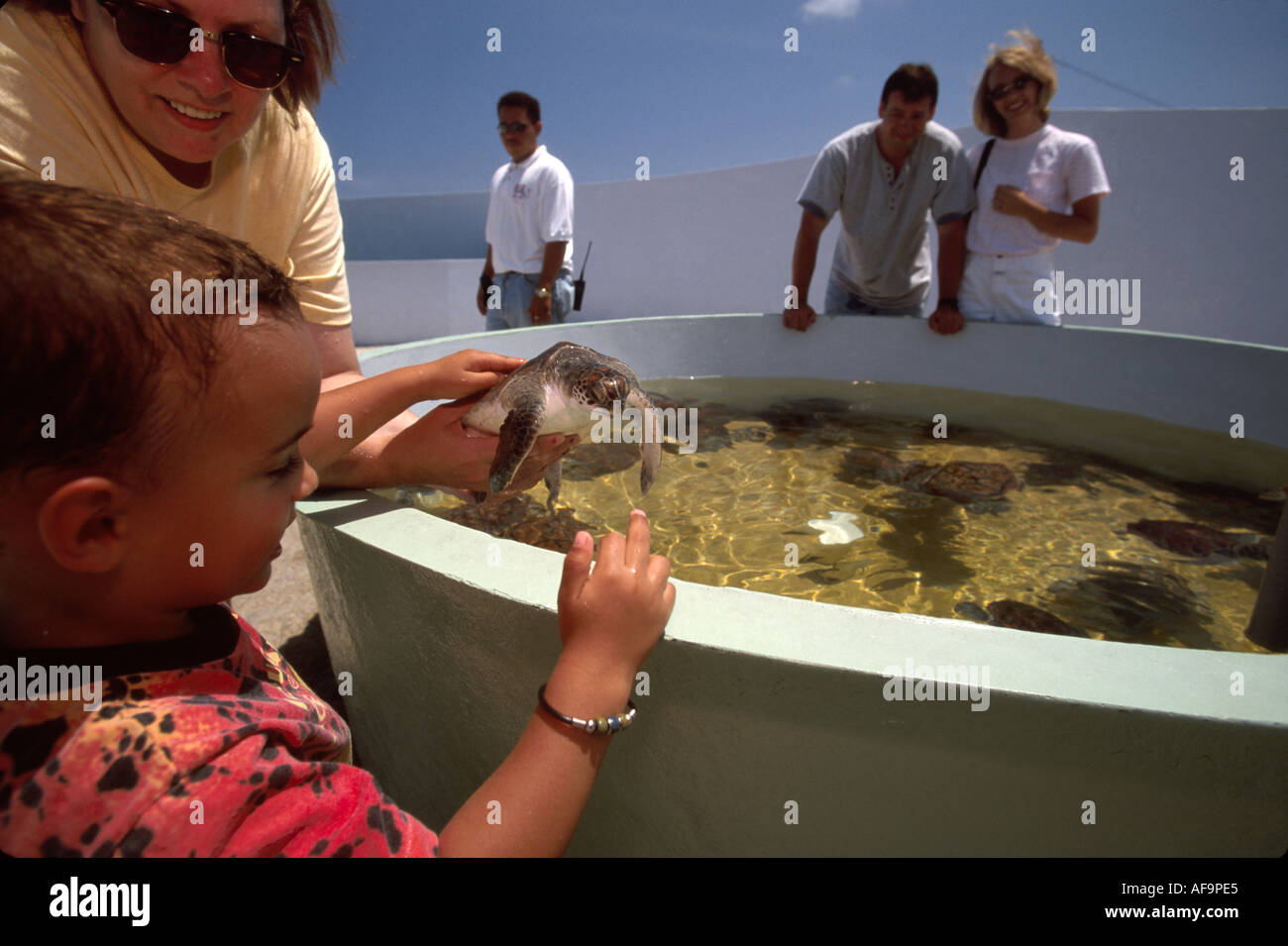 Grand Cayman, Inseln, BWI, Britische Westindien, Karibisches Meer, Wasser, Tropen, warmes Wetter, Klima, West Bay, West Bay, Cayman Turtle Farm, Zuchtbecken, grün Stockfoto