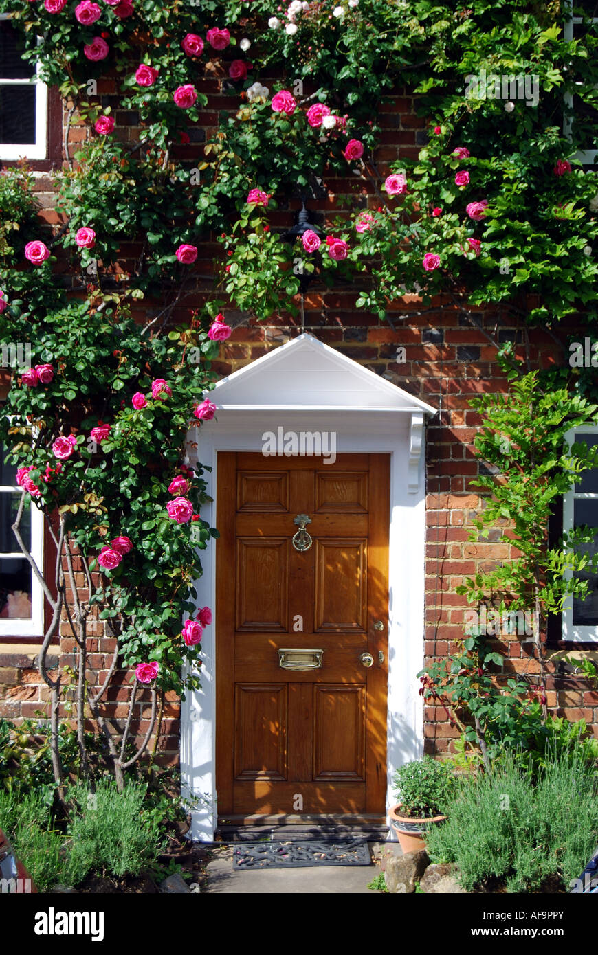 Haustür mit Rosen, Periode Hütte, Shere, Surrey, England, Vereinigtes Königreich Stockfoto