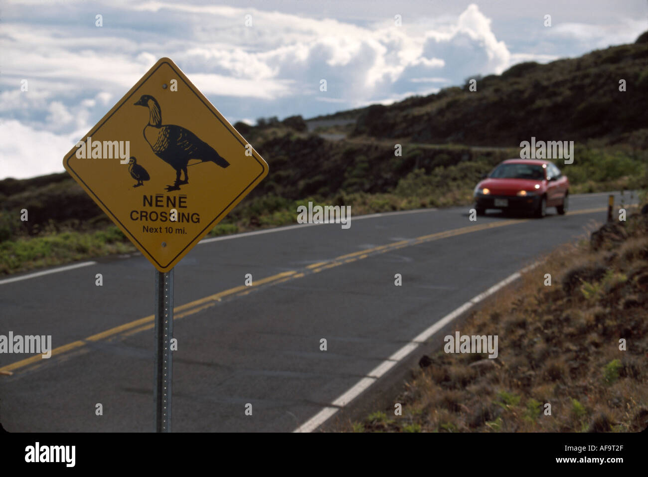 Hawaii, Hawaii-Inseln, Maui Haleakala National Park, Bundesland, Natur, Natur, Landschaft, Landschaft, historische Erhaltung, Öffentlichkeit, Erholung, 38 Meilen H Stockfoto