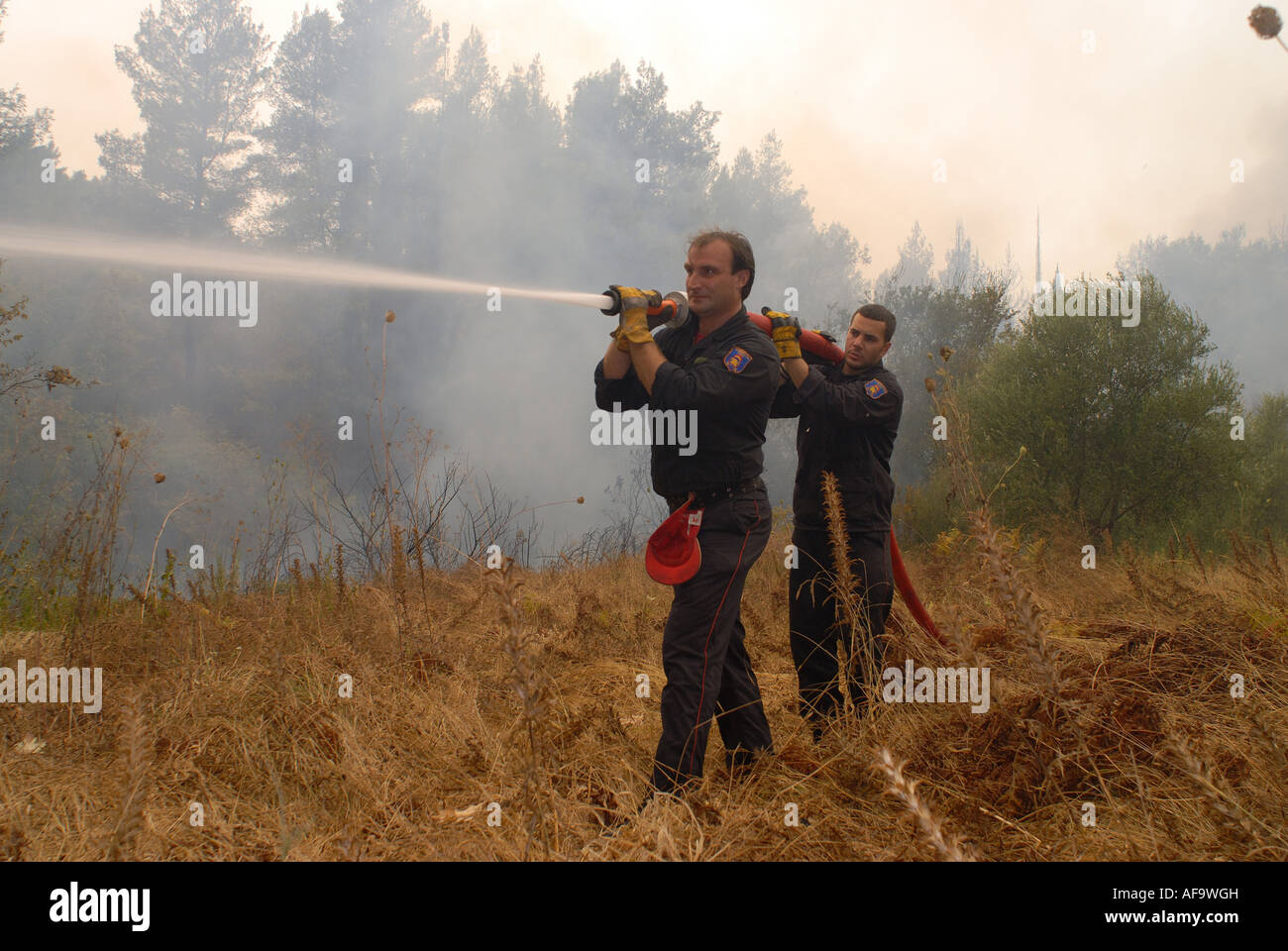 Feuerwehren, Feuerwehrleute, Waldbrände in Griechenland im Sommer 2007, Griechenland, Peloponnes, Olympia Stockfoto