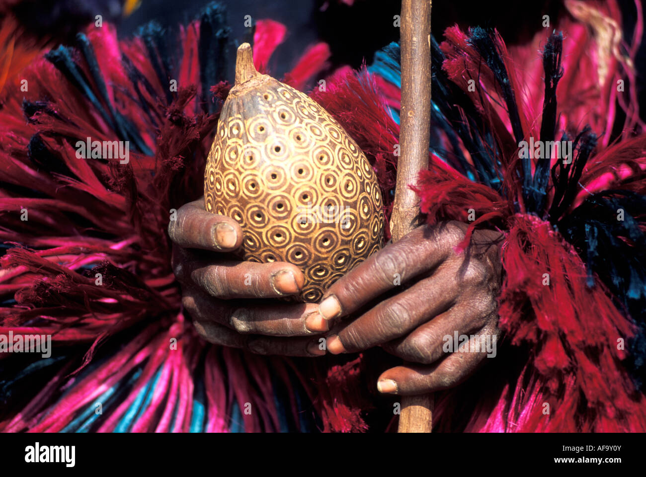 Nahaufnahme der Dogon Tänzer Hände halten Kalebasse Rassel und Stick Dogonland; Mali Stockfoto