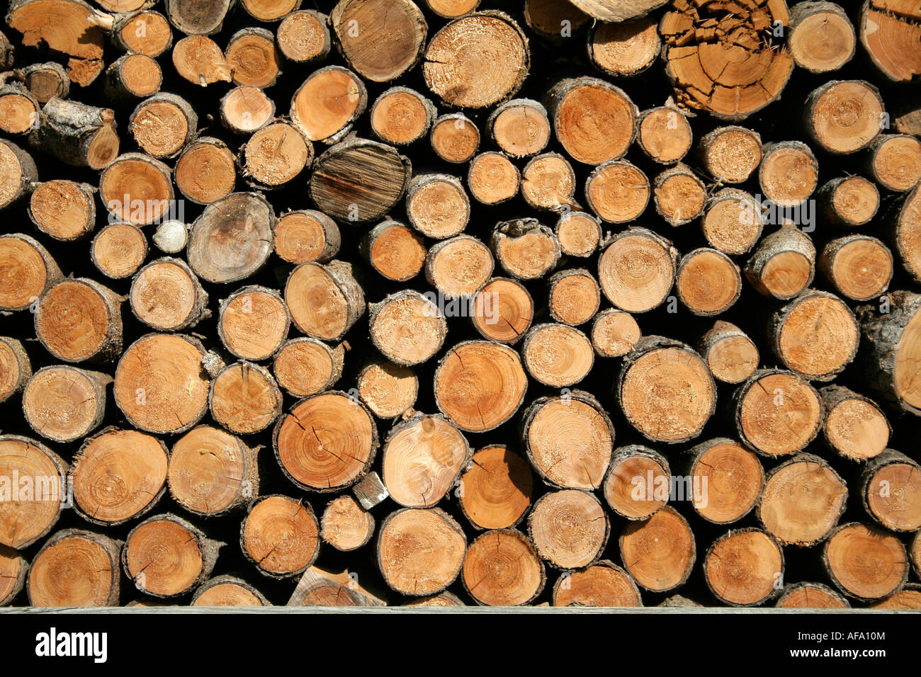 Anzeige von Braun Schnittholz Stockfoto