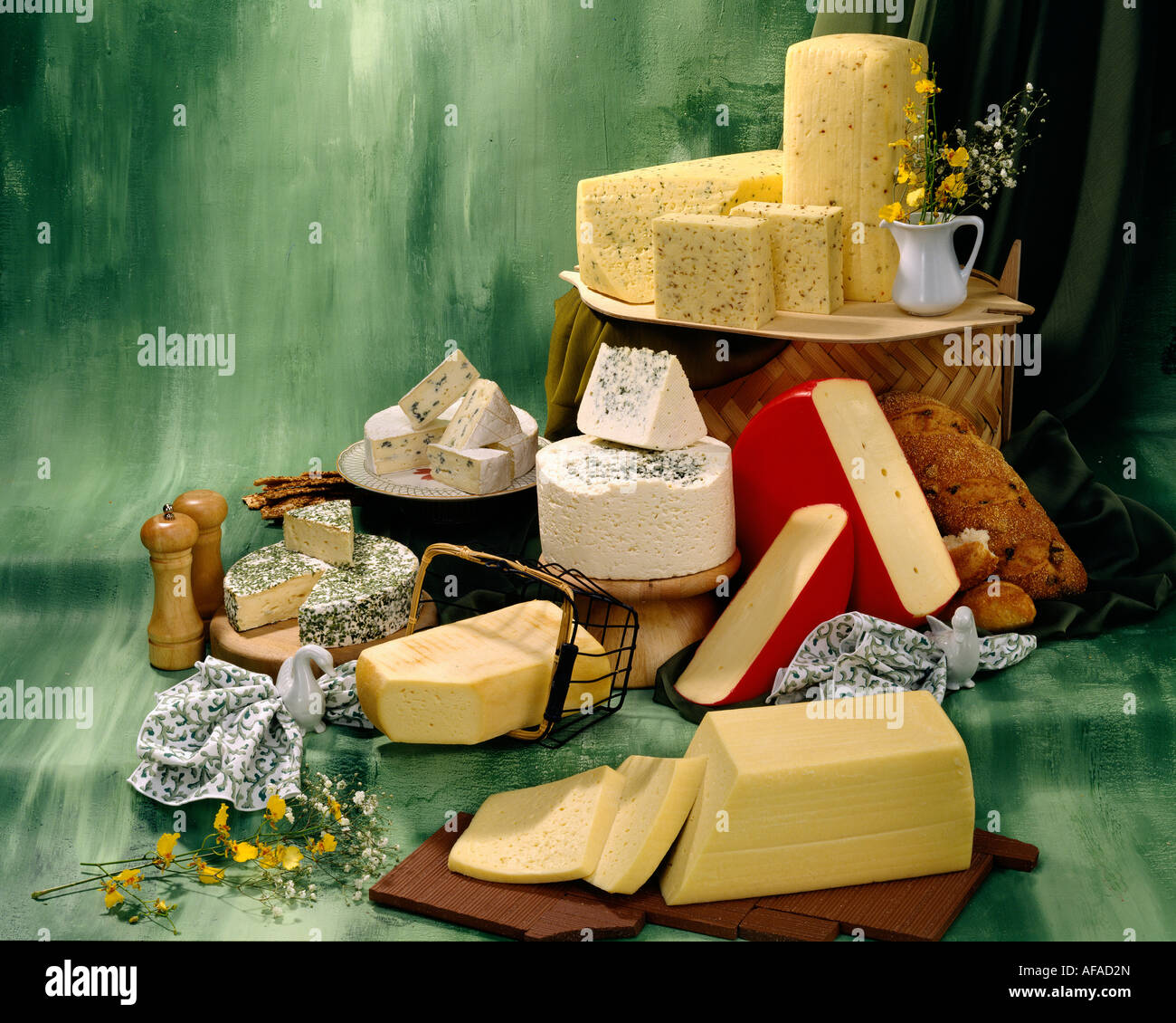 Dänischer Käse in Gruppe Farbfoto auf grün getönten gesprenkelte Hintergrund. Querformat, Studio Tischplatte. Klassisches Bild Stockfoto
