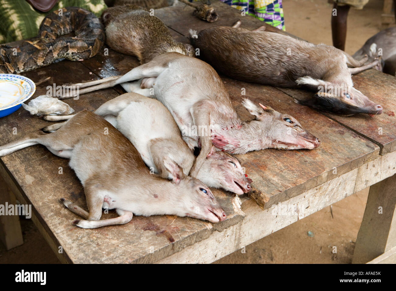 Nigeria Lagos Buschfleisch zu verkaufen Stockfoto