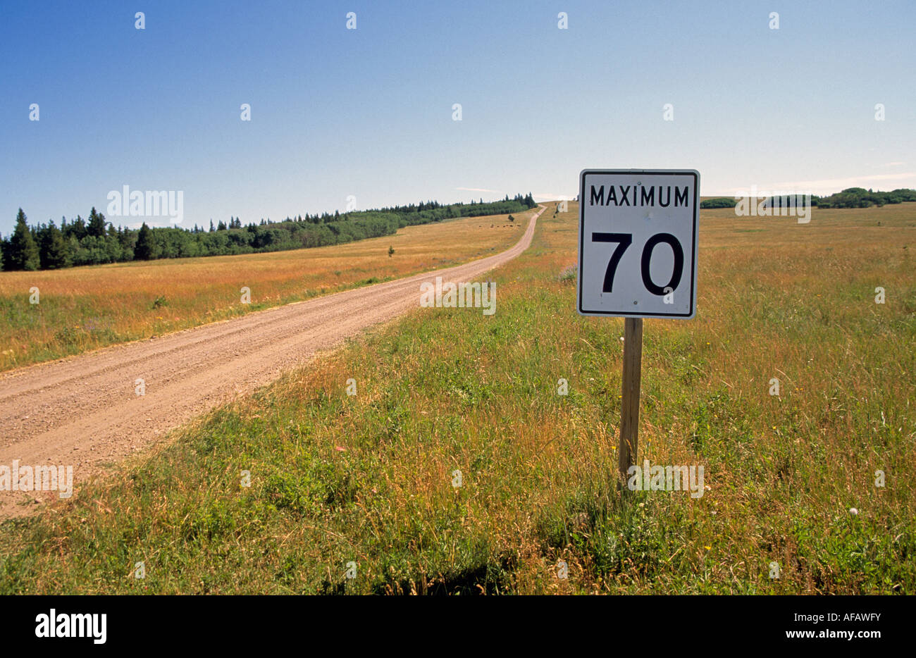 Ein Tempolimit Schild an einen groben Feldweg in Cypress Hills Interprovencial Park, Alberta/Saskatchewan, Kanada. Stockfoto