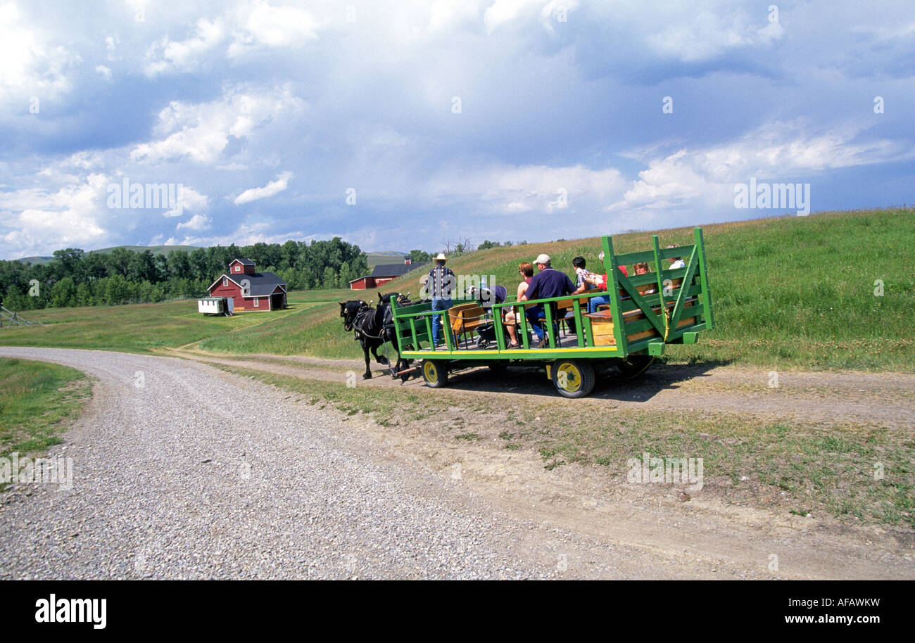 Ein Wagen führt Besucher an den Hauptsitz der Bar U Ranch eine historische Rinderfarm in den Great Plains in der Nähe von Calgary, Alberta, Kanada. Stockfoto