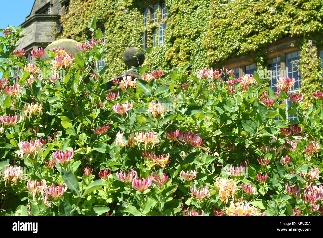 Gisborough Hall Hotel Stockfoto