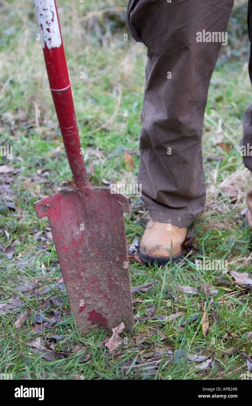 Selbst nachhaltige Alternative Leben in Ehre Oak Park, South East London, England 2007 Stockfoto