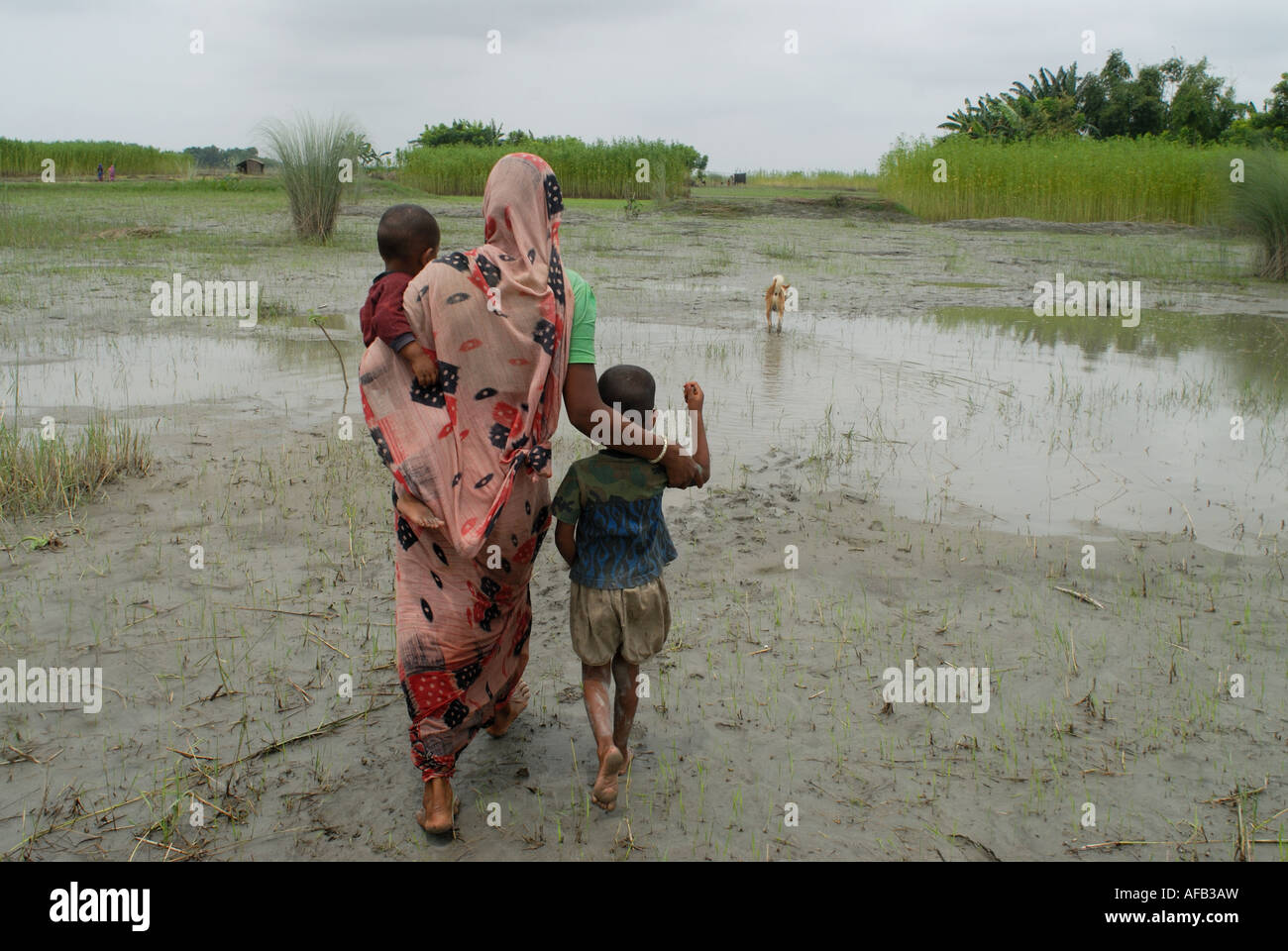 Flut betroffenen Norden Bangladesch, Juni 2007.Mother Spaziergang durch schlammigen Reisfeldern zerstörten Kultur mit ihren Kindern Stockfoto
