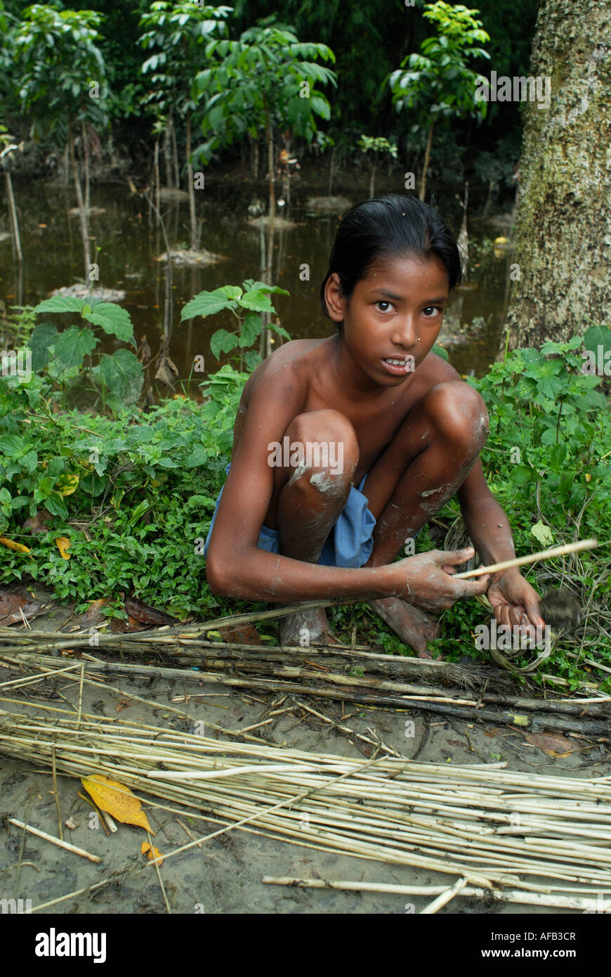 Bangladesch 2007 nach der Flut.  Jute, wichtiger Bestandteil der lokalen Wirtschaft durch junges Kind vorbereitet. Stockfoto