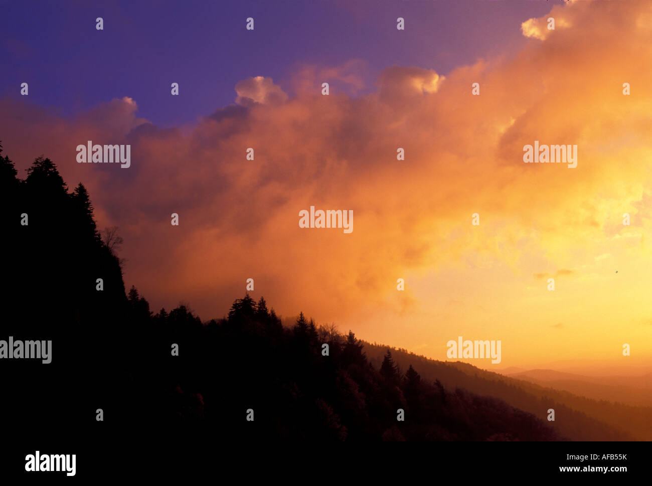 Sunrise, Great Smoky Mountains National Park, USA, von Bill Lea/Dembinsky Foto Assoc Stockfoto