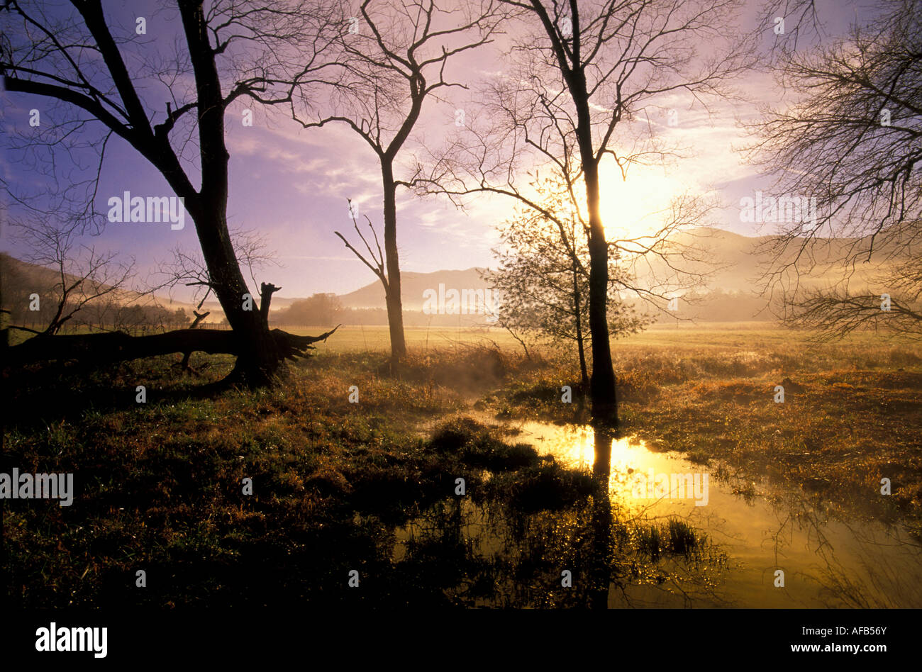 Sunrise, Cade's Cove, Great Smoky Mountain National Park, USA, von Bill Lea/Dembinsky Foto Assoc Stockfoto