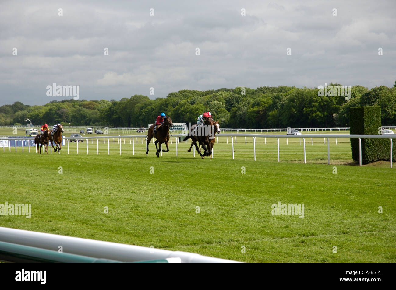 Sprint-Finish beim Haydock Park Race Course Stockfoto