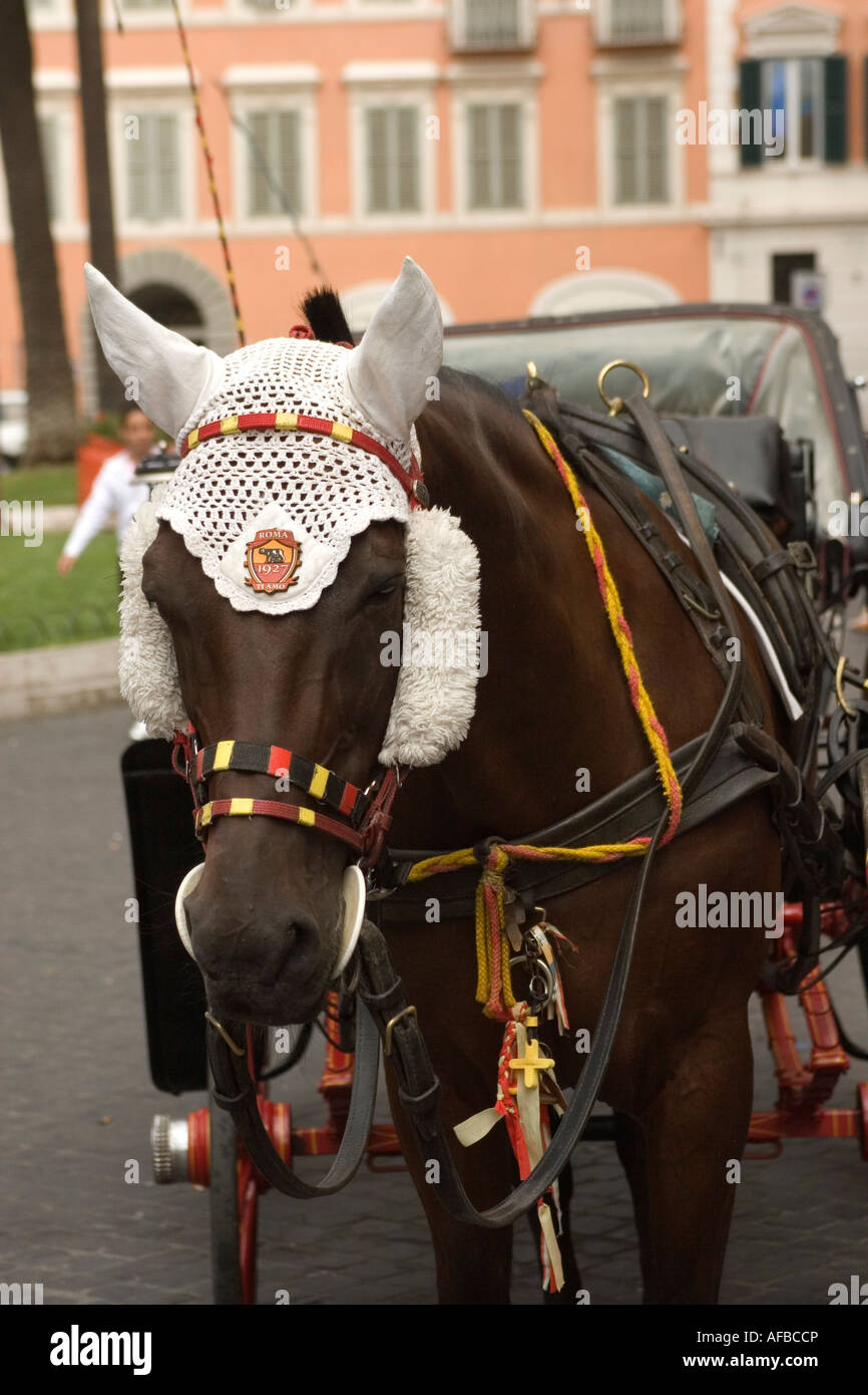 Pferd und Wagen Piazza Spagna Rom Stockfoto
