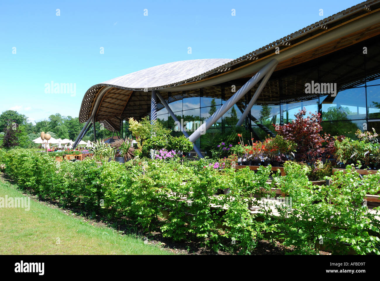 Garten Shop, Savill Gebäude, Savill Garden, Windsor Great Park, Englefield Green, Surrey, England, Vereinigtes Königreich Stockfoto