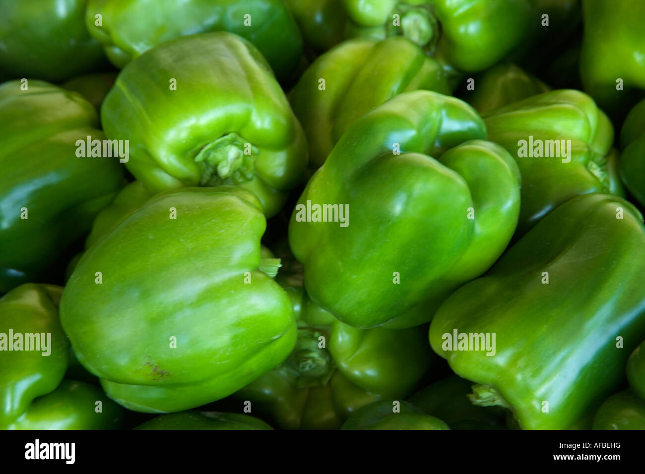 Geerntete grüne süße Paprika, California Stockfoto