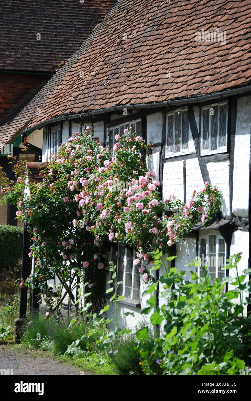 Periode Hütte, Shere Dorf, Surrey, England, Vereinigtes Königreich Stockfoto