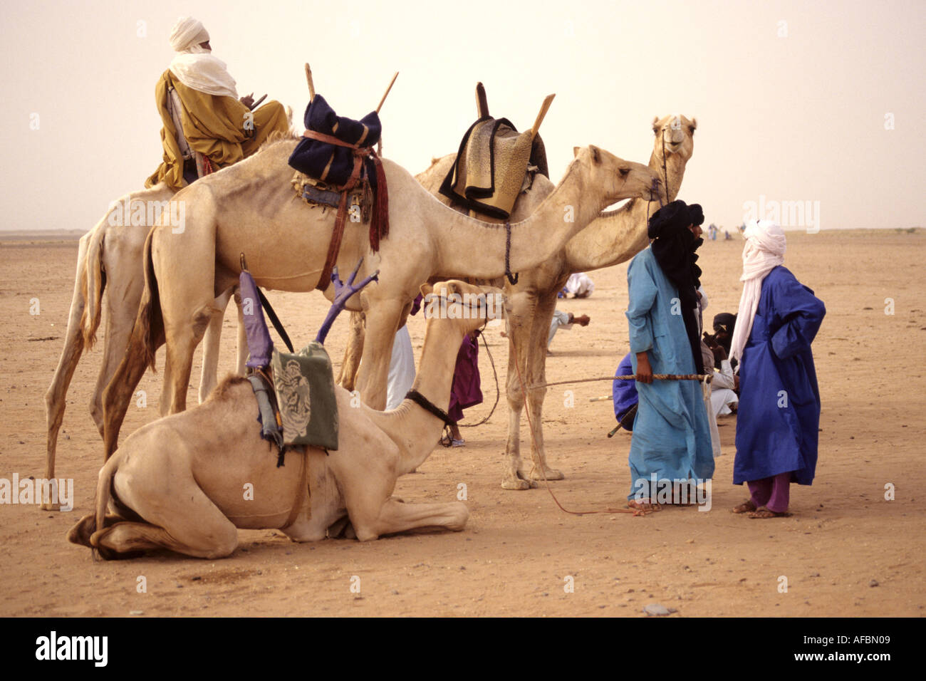 Gespräch, Wüste In Gall, in der Nähe von Agadez, Niger, Westafrika Stockfoto