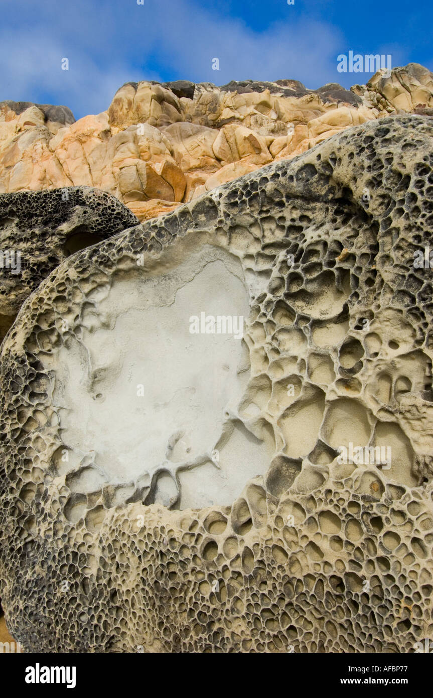 USA CALIFORNIEN, Salt Point State Park, Pacific Coast, erodierten Sandstein entlang Küste Stockfoto