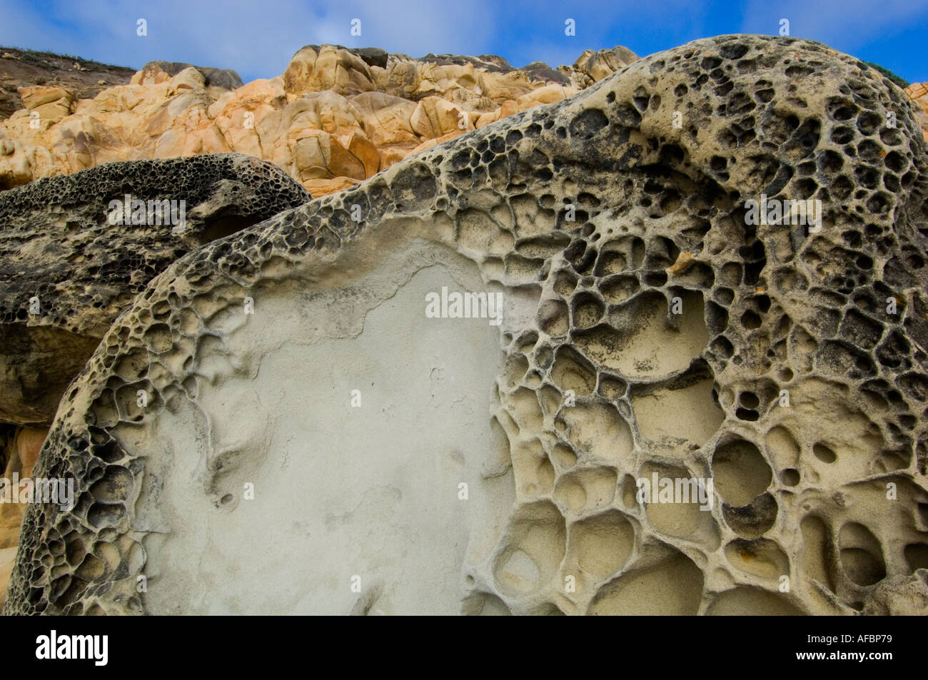 USA CALIFORNIEN, Salt Point State Park, Pacific Coast, erodierten Sandstein entlang Küste Stockfoto