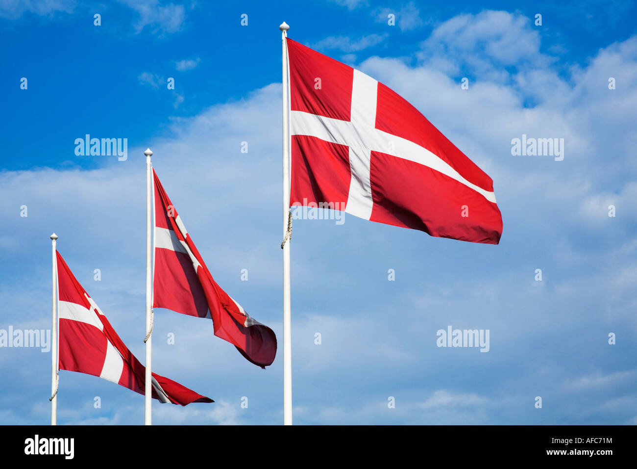 Dänische Flaggen vor blauem Himmel mit Wolken Stockfoto