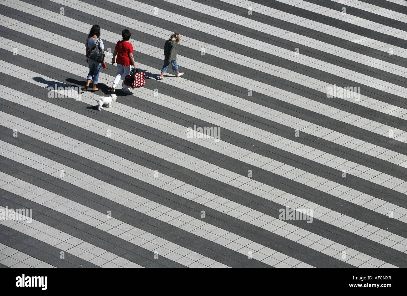 Mutter mit Kindern und Hund bin Zebracrossing am Flughafen München Franz Josef Strauß Flughafen 04 09 2007 Stockfoto