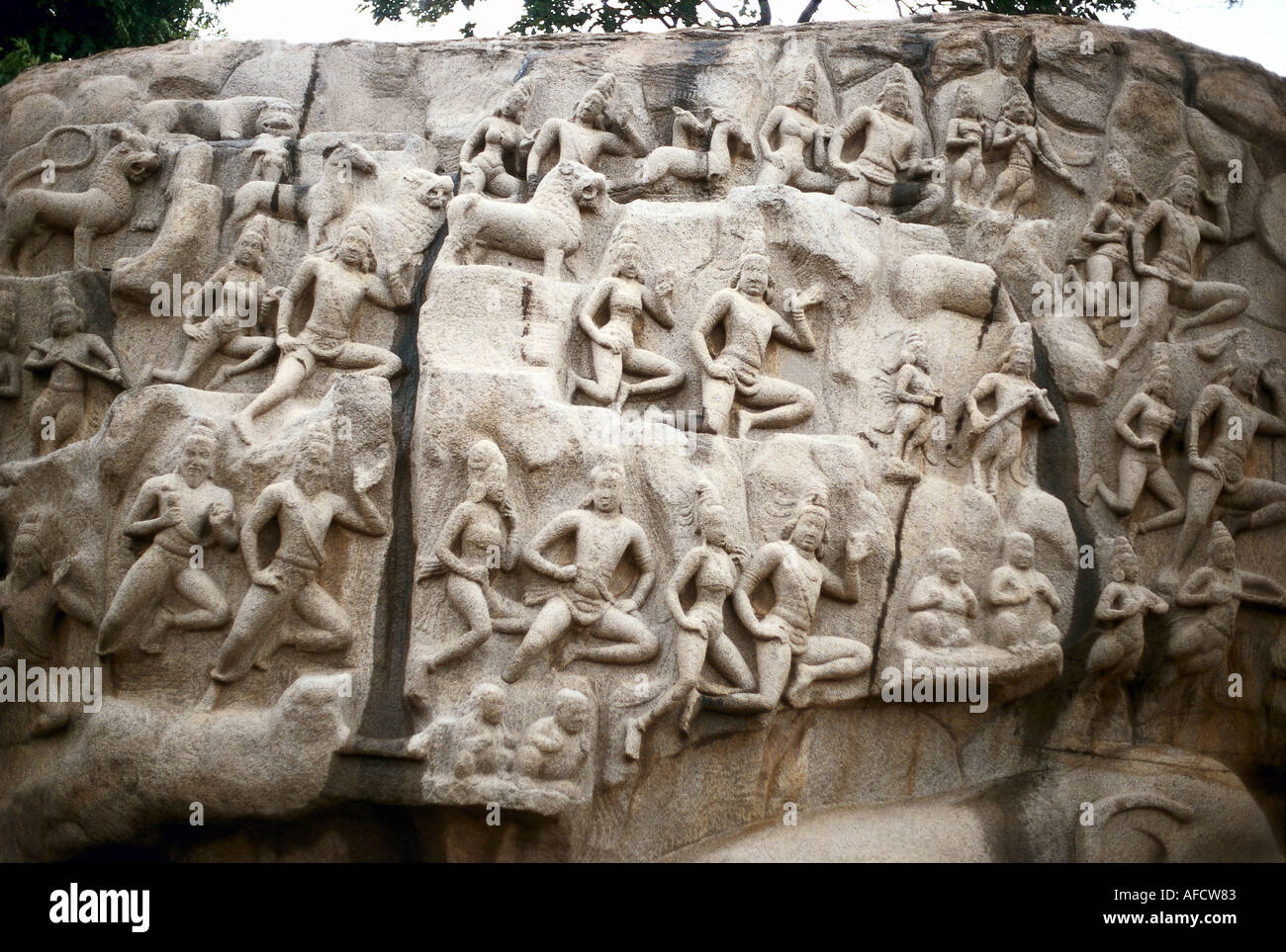 Geographie/Reise, Indien, Mahabalipuram (Mamallapuram), Tamil Nadu, Shiva-Tempel, Erleichterung "der Ursprung des Flusses Ganges", Detail, Pallava-Dynastie, 7. Jahrhundert nach Christus, Stockfoto