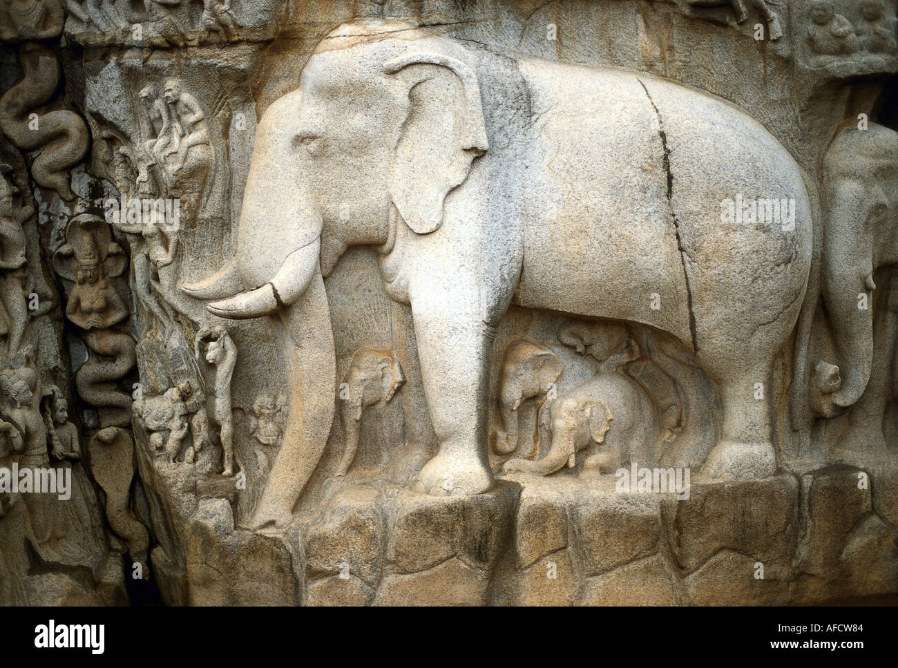 Geographie/Reise, Indien, Mahabalipuram (Mamallapuram), Tamil Nadu, Shiva-Tempel, Erleichterung "der Ursprung des Flusses Ganges", Detail, Pallava-Dynastie, 7. Jahrhundert nach Christus, Stockfoto