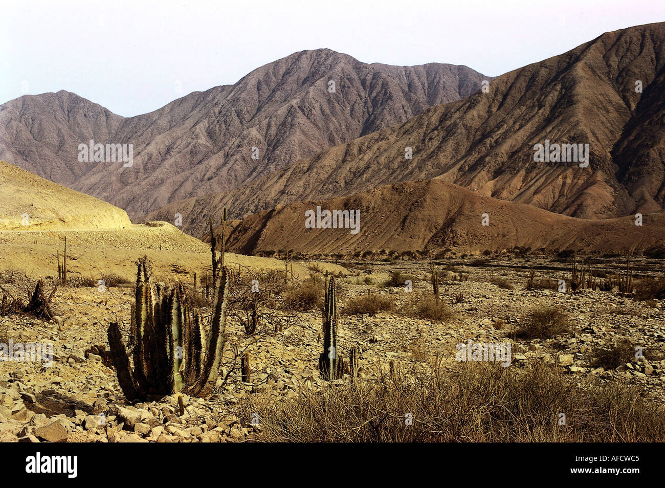 Geographie/Reise, Peru, Nationalpark Pampas Galeras, Tal und Gebirge, Stockfoto