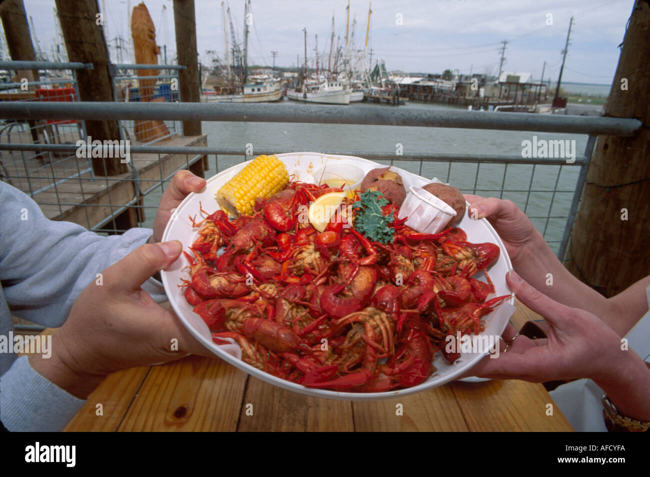 Texas, Lone Star State, der Südwesten, Galveston Bay, Wasser, Bucht, Kemah, Joe's Crab Shack, gekochter, erfahrener Crawfish, Mudbug, Garnelenboote, TX012, TX012 Stockfoto