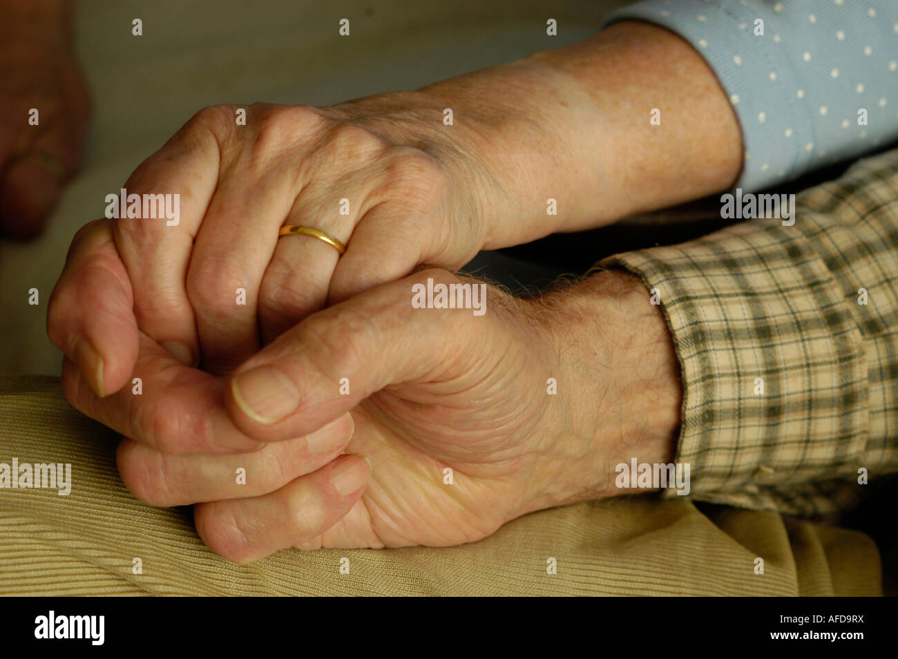 Nahaufnahme eines älteren Routiniers Stockfoto