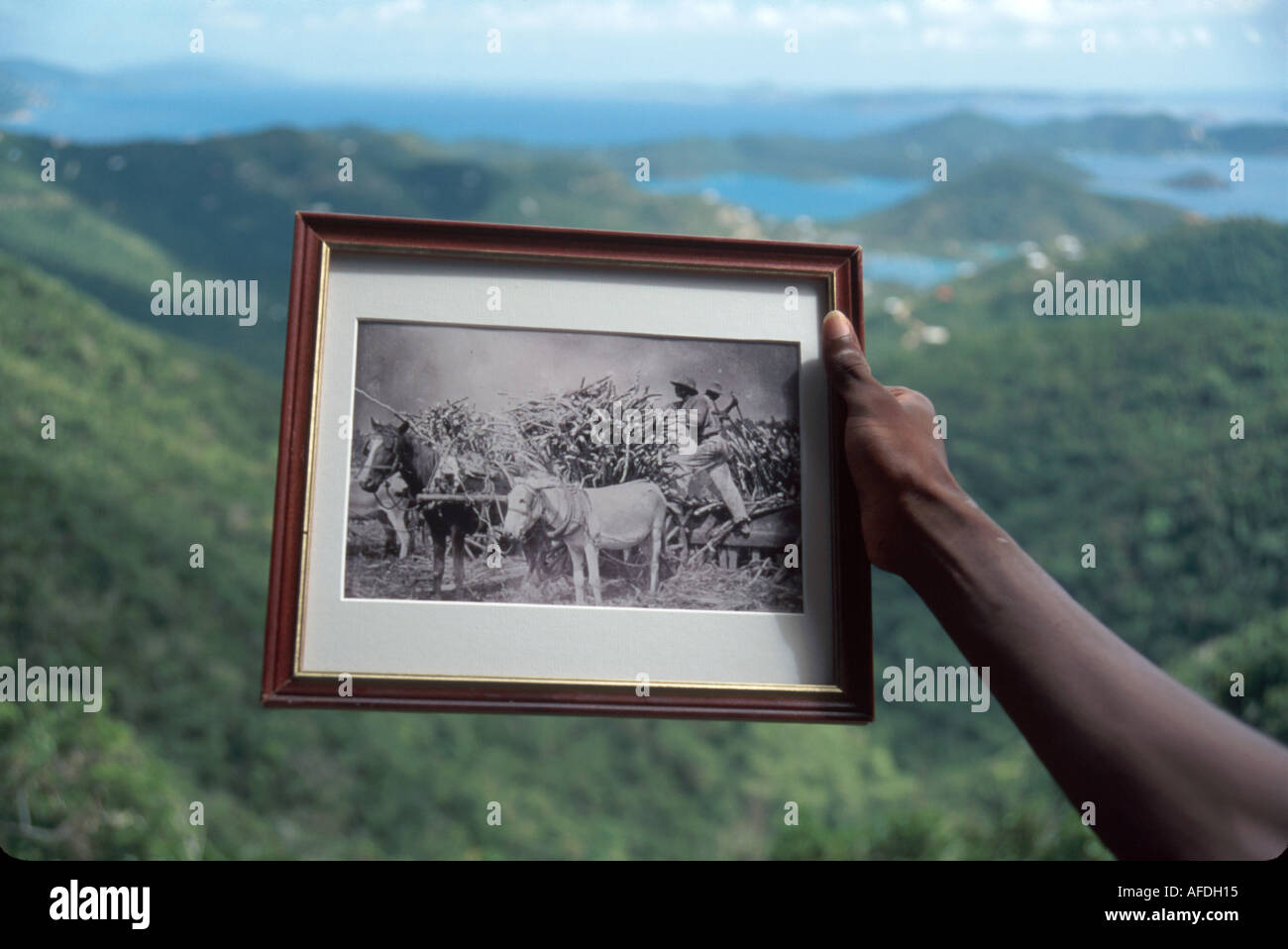 AMERIKANISCHE Jungferninseln, St. John, Nachfahre von Zuckermühle Sklaven hält historische Foto, Coral Bay, USVI015 Tourismus, Reise, Ziel, Kultur, Bräuche, Lebensstil, U Stockfoto
