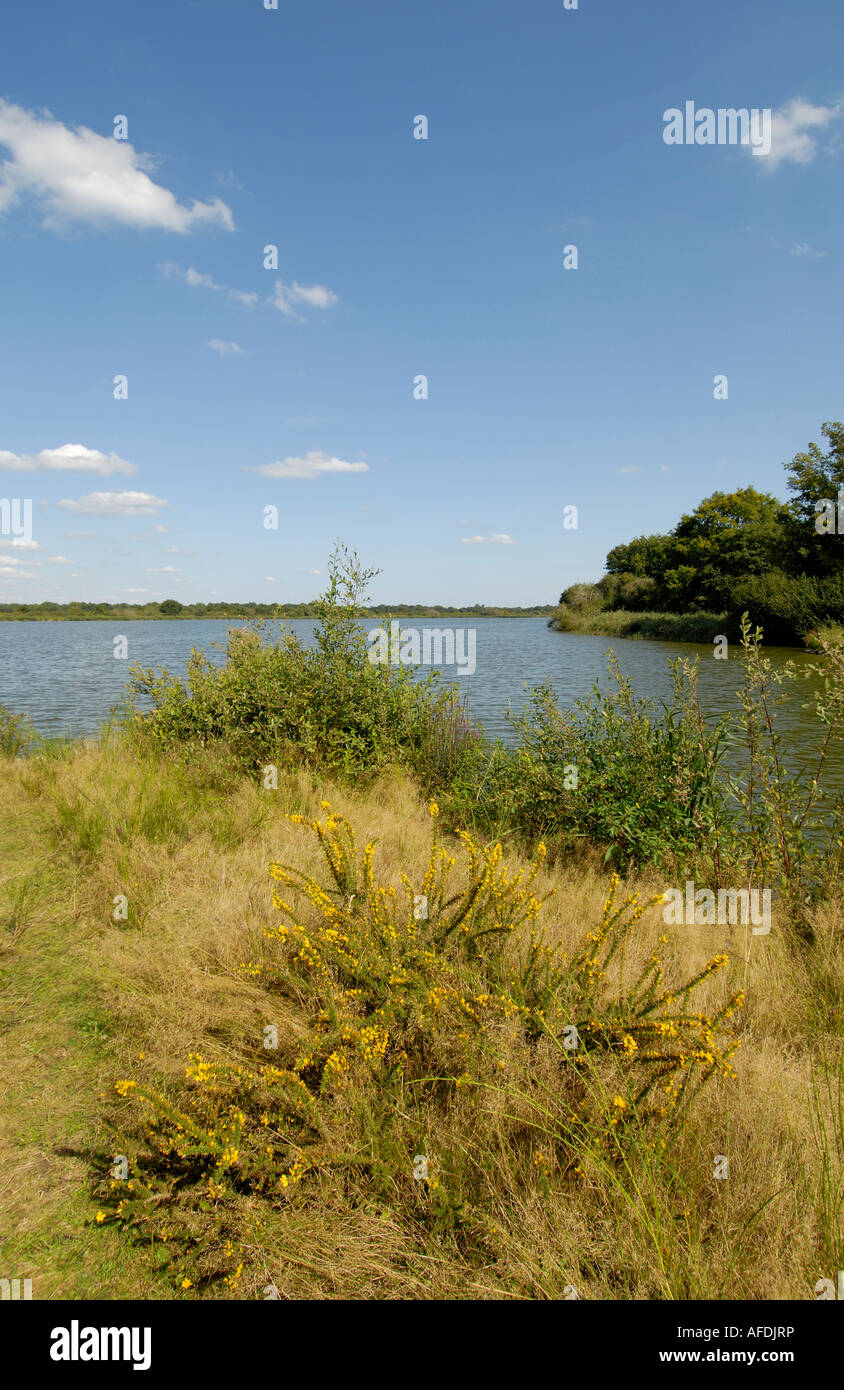 Etang (See) Blizon, La Brenne, Indre, Frankreich. Stockfoto