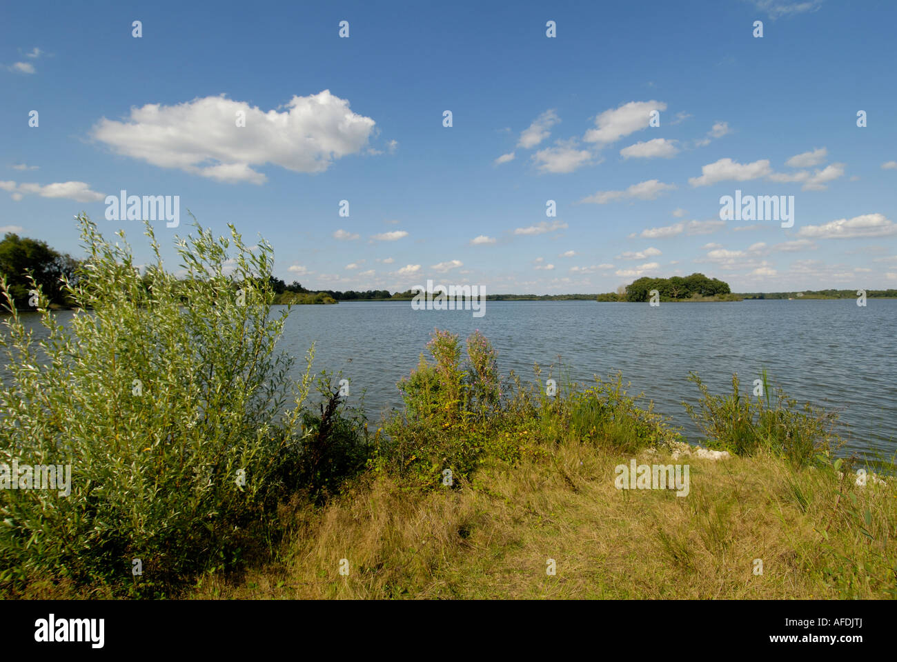 Etang (See) Blizon, La Brenne, Indre, Frankreich. Stockfoto