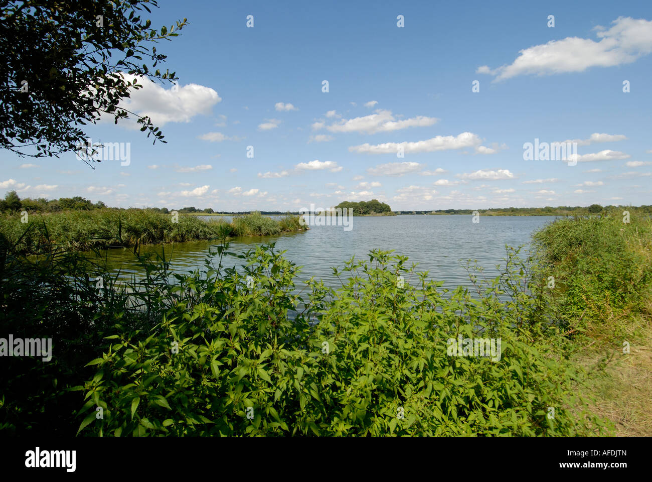 Etang (See) Blizon, La Brenne, Indre, Frankreich. Stockfoto