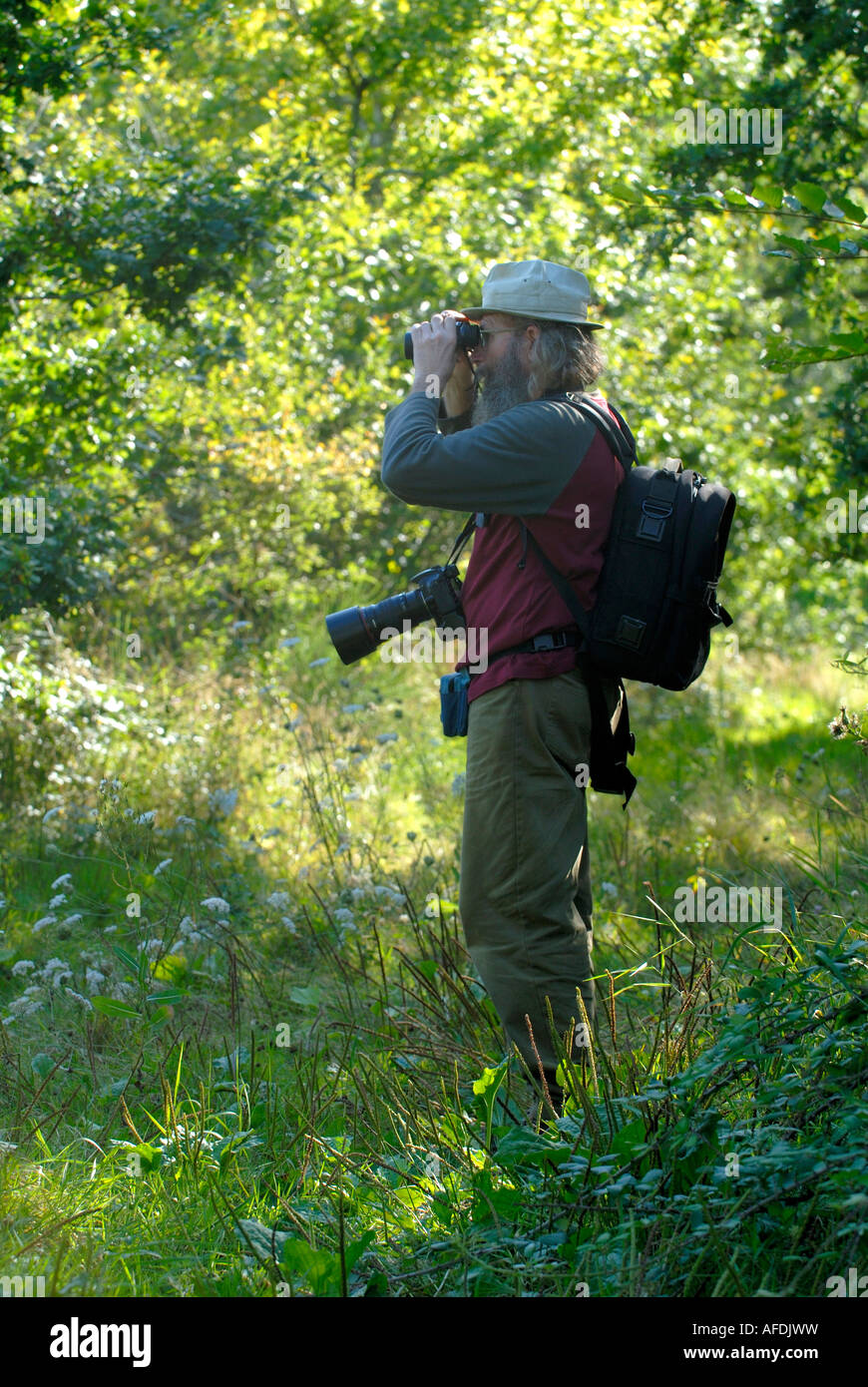 Fotograf / Vogel Watcher in La Brenne, Indre, Frankreich. Stockfoto