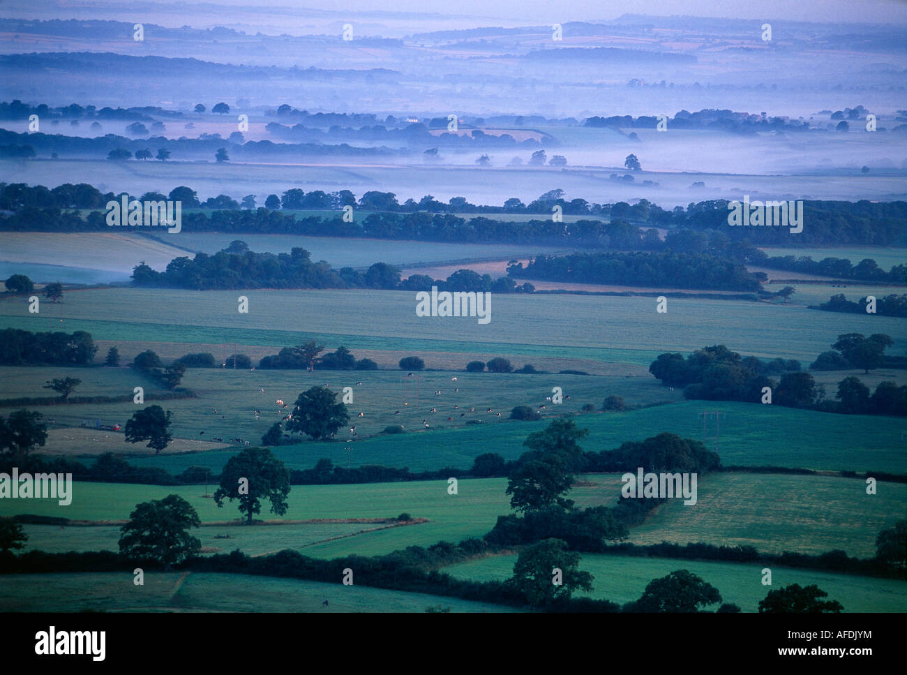 Englands grüne und angenehme Land eine endlose Patchwork von Feldern in der Blackmoor Vale im Morgengrauen nr Kind Okeford, Dorset, England Stockfoto