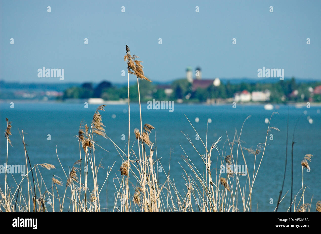 Blick über den Bodensee und Friedrichshafen, Nature Reserve fließt Ried am Bodensee Deutschland Mai 2005 Stockfoto