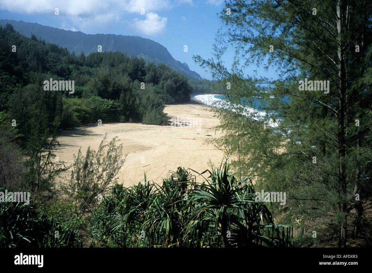 Lumahai Beach, in der Nähe von Hanalei, Kauai, Hawaii, USA Stockfoto