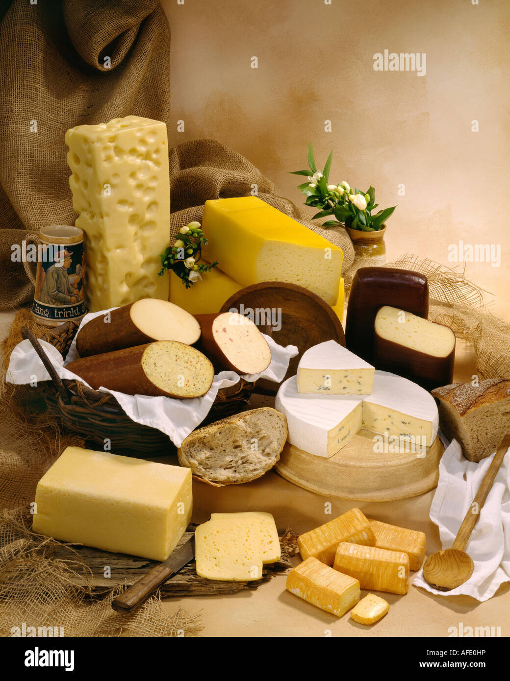 Deutscher Käse in Gruppe Farbfoto auf warm getönten gesprenkelte Hintergrund. Hochformat, Studio Tischplatte. Klassisches Bild. Stockfoto