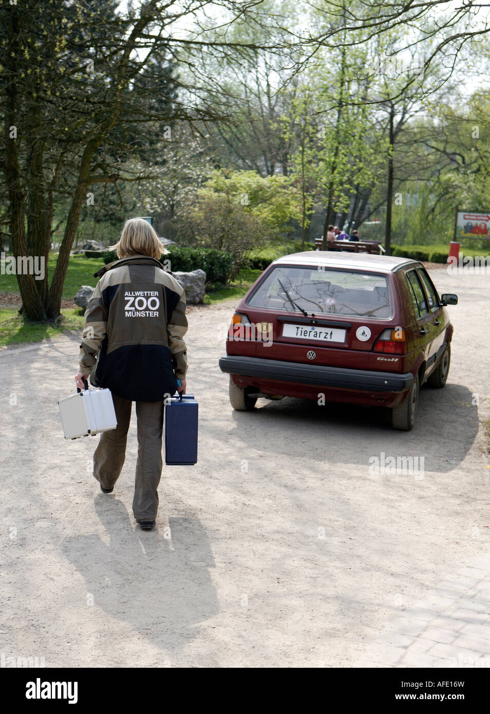 Der Zoo-Tierarzt des Zoos Allwetterzoo Dr. Sandra Silinski während ihrer Tätigkeit Stockfoto