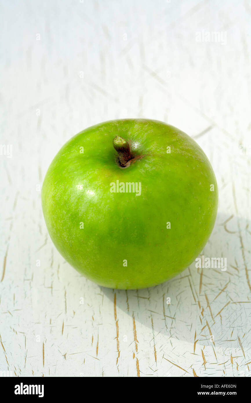 Bramley grün Kochen Apfel Malus Domestica Stockfoto