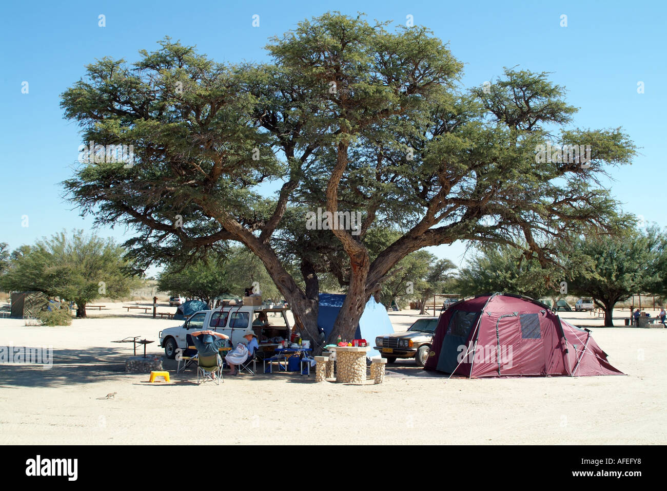 Kalahari Transfrontier National Park Südafrika RSA. Camping am Nossob Standort Stockfoto
