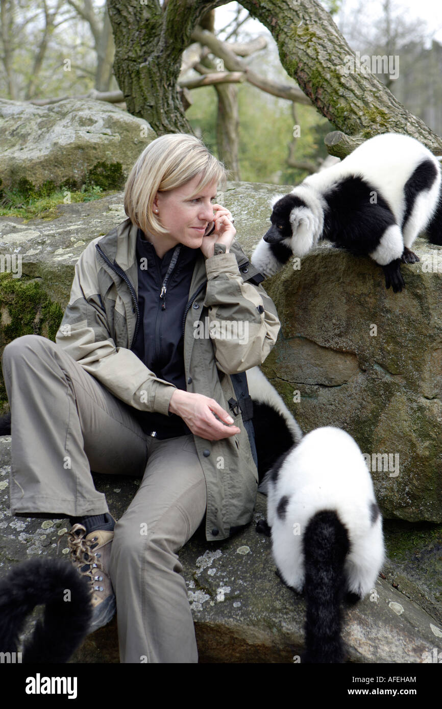 Der Zoo-Tierarzt des Zoos Allwetterzoo Dr. Sandra Silinski mit der Ruffedlemurs Stockfoto