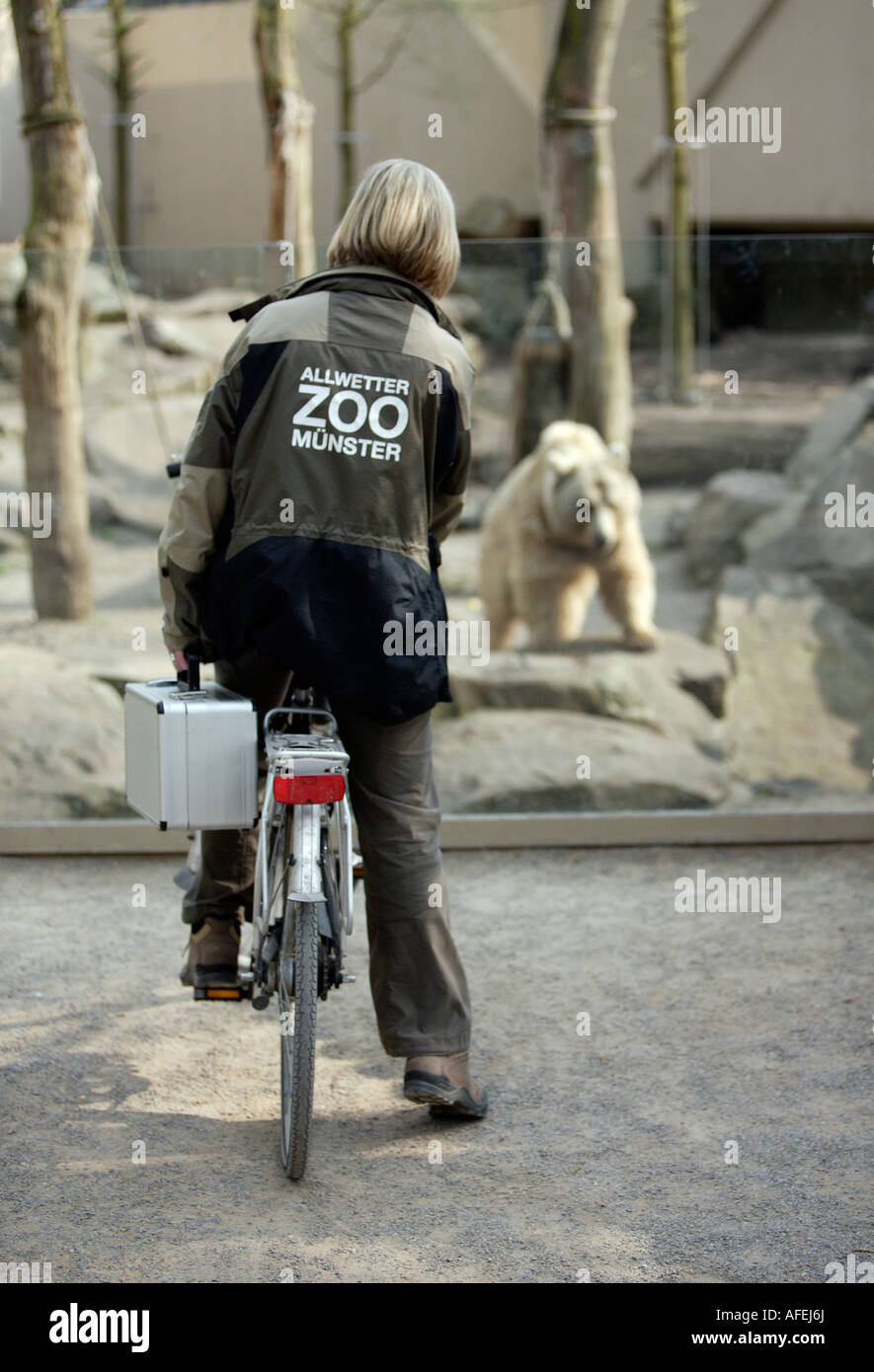 Der Zoo-Tierarzt des Zoos Allwetterzoo Dr. Sandra Silinski während ihrer Tätigkeit Stockfoto