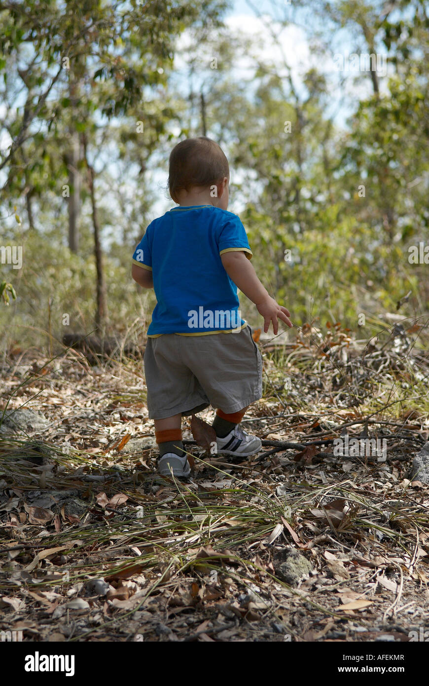 Siebzehn Monate alten Jungen Busch Land Weg Stockfoto