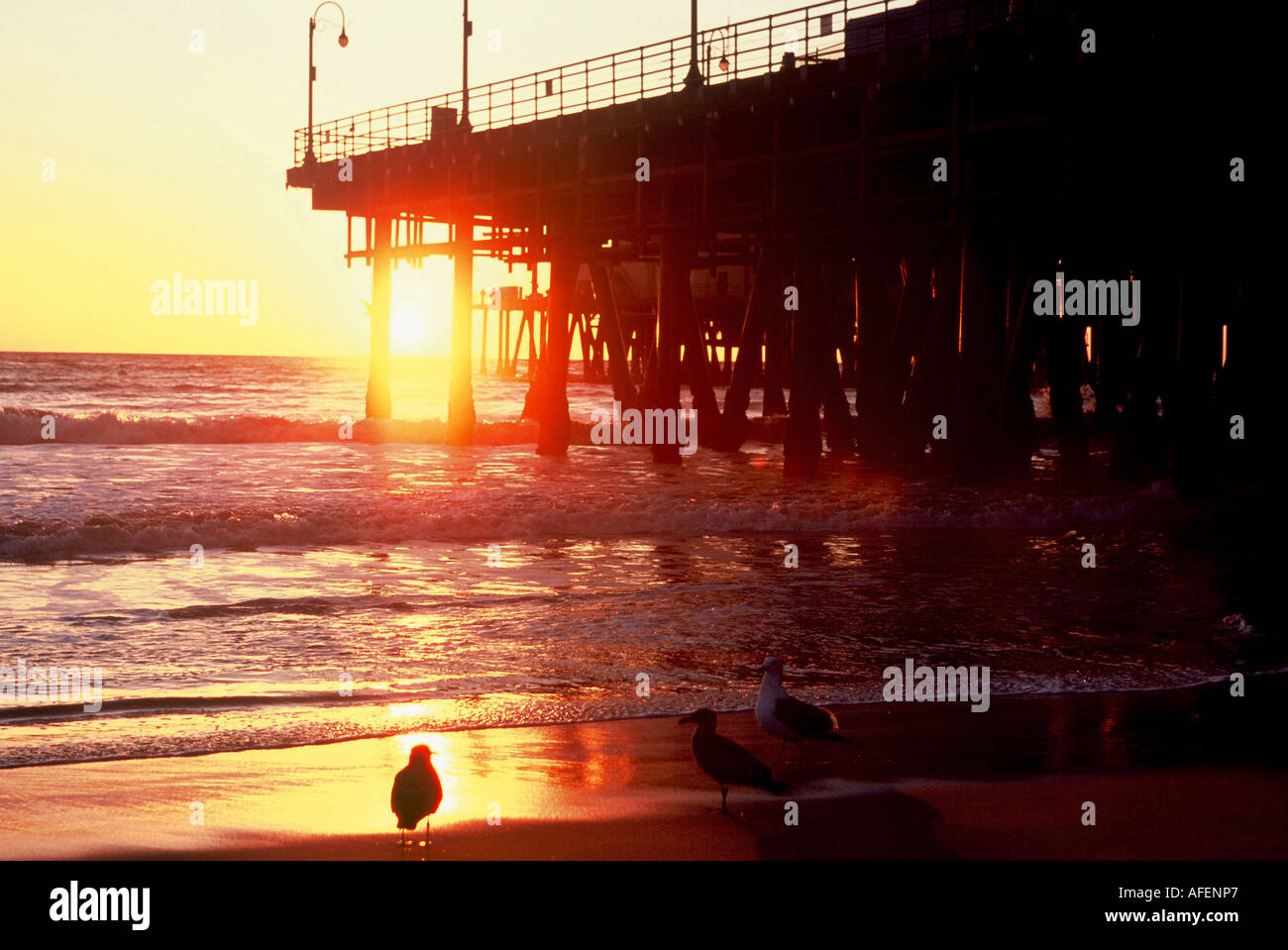 Santa Monica Pier Stockfoto